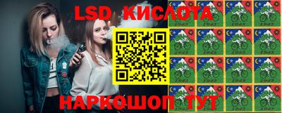 гидропоника Можга