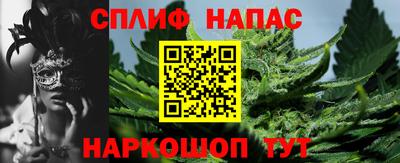 гидропоника Можга