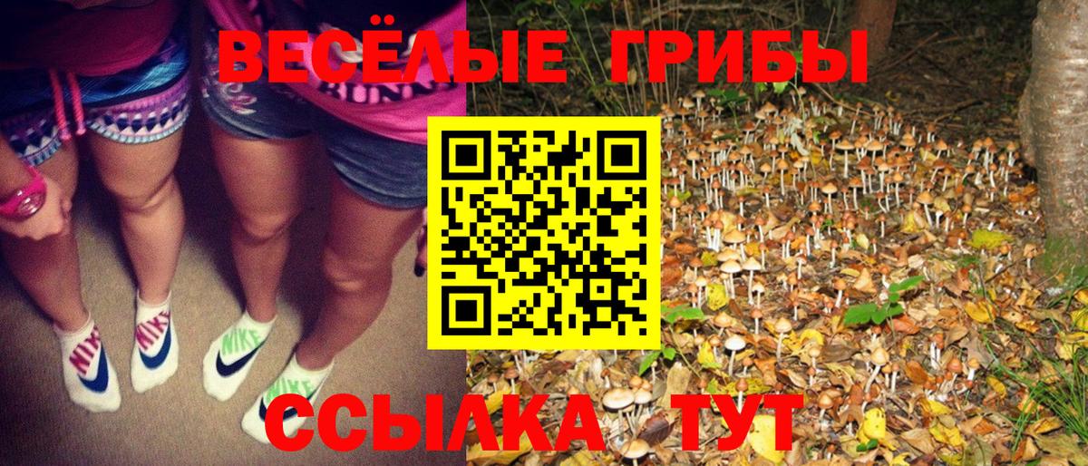 Псилоцибиновые грибы Psilocybe  Вход с VPN  Урай  Галлюциногенные грибы MAGIC MUSHROOMS 